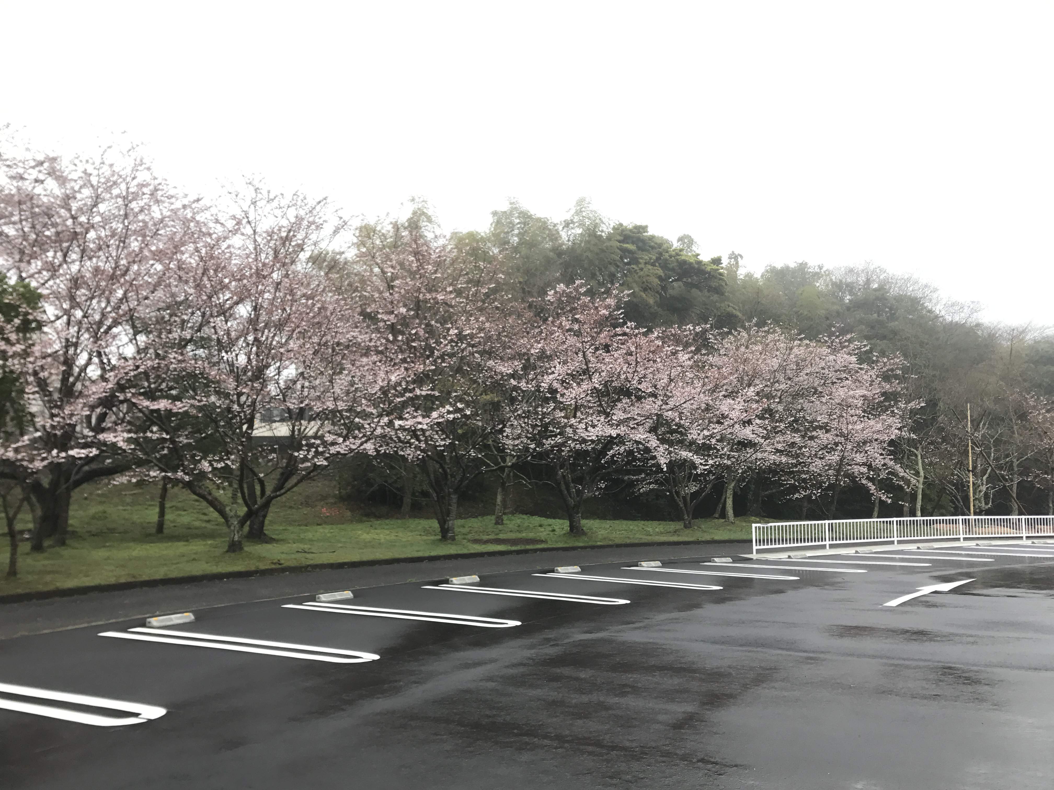 卍 명석사 (메이세키지) 이미지 6